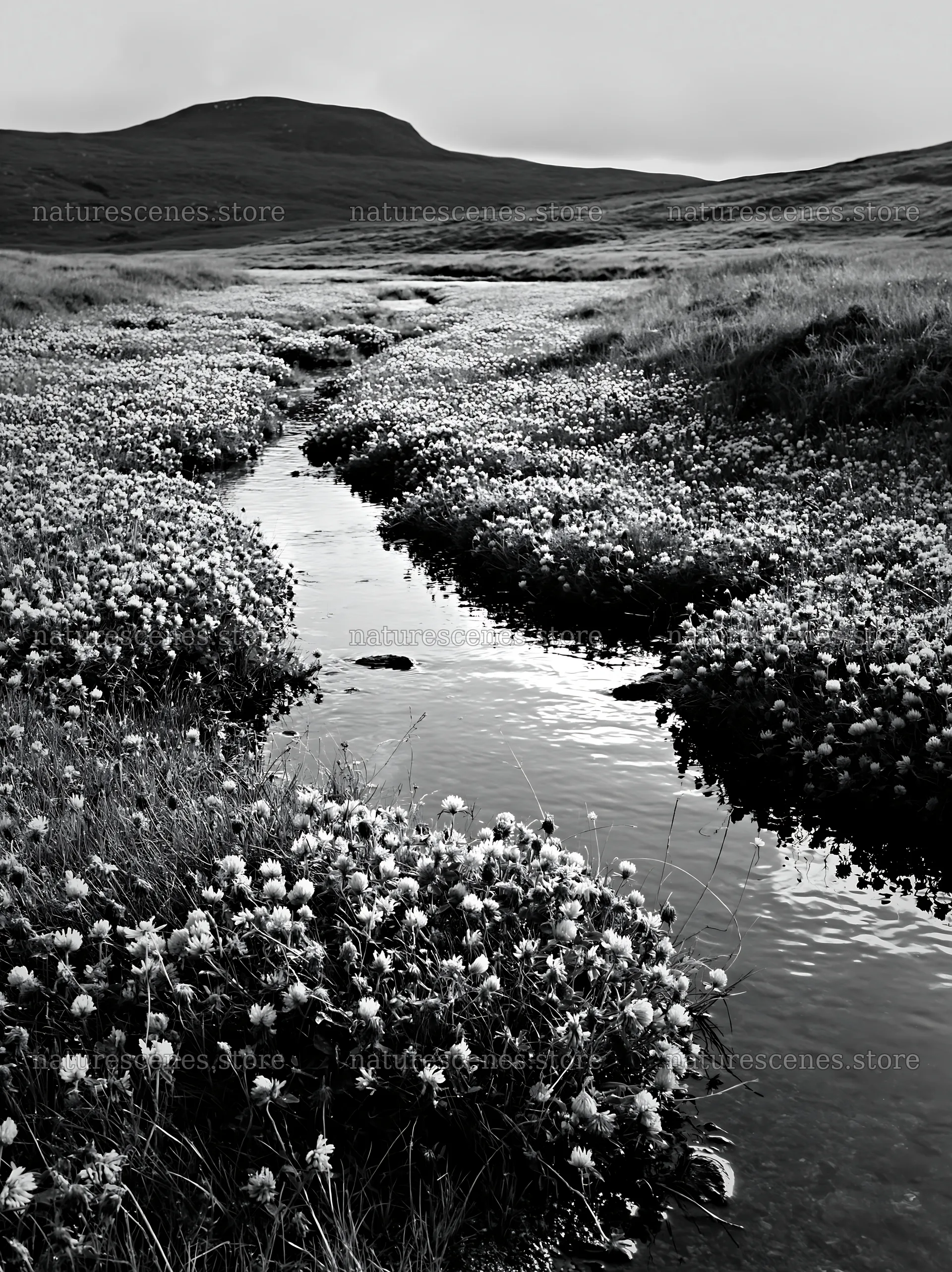 High contrast meadow with natural watercourse and flowers – nature scenes 6866x9174