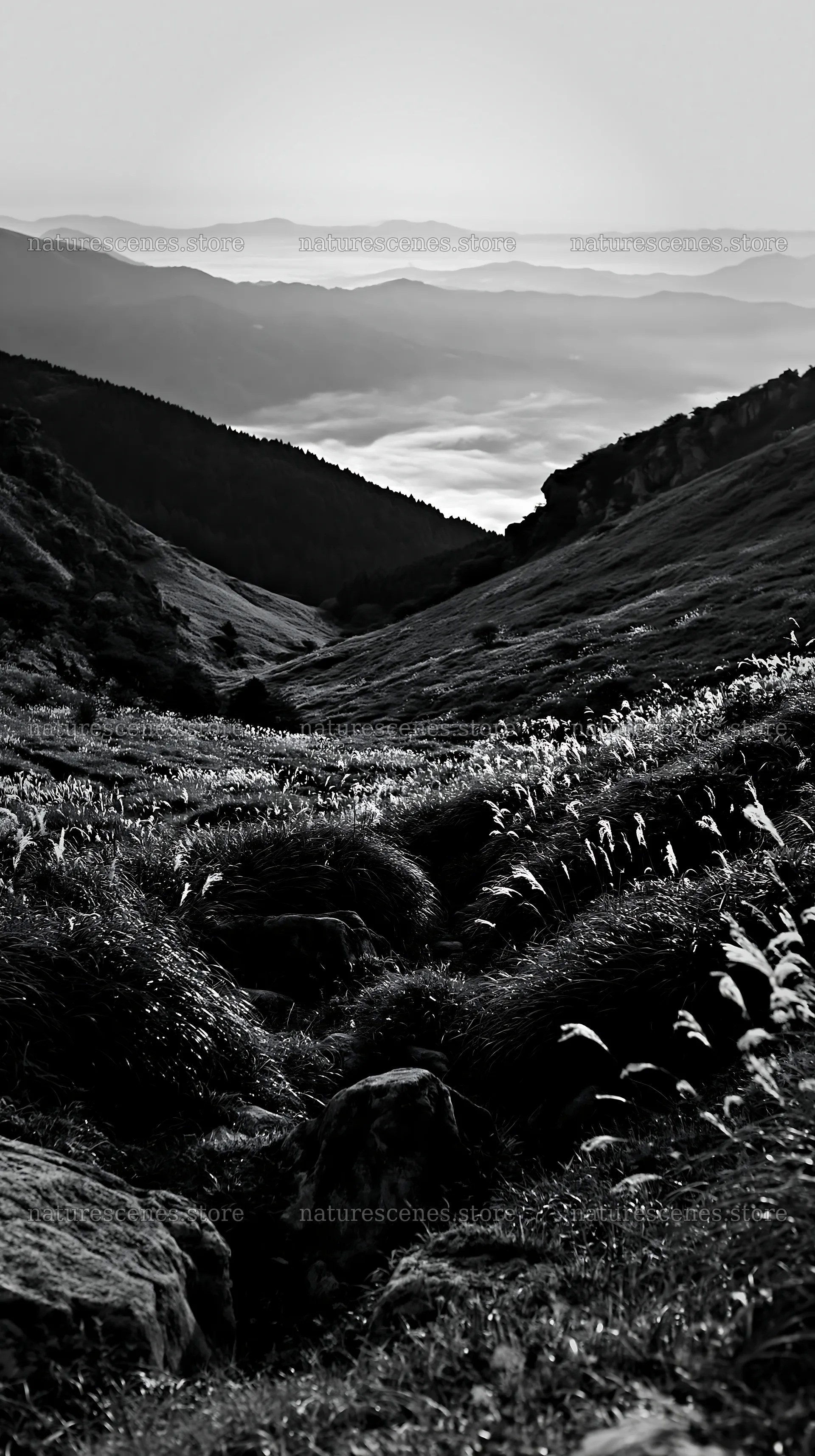 Oita highland meadow with granite stones and valley view – nature scenes 5938x10608