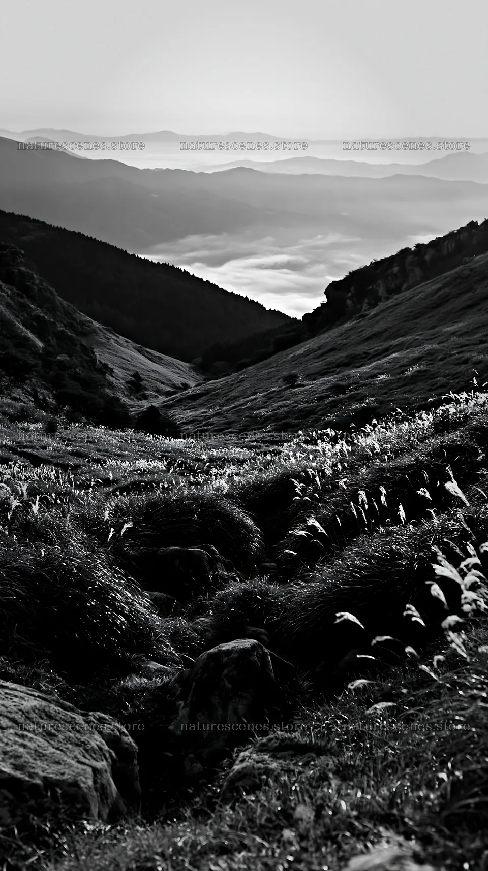 Oita highland meadow with granite stones and valley view – nature scenes 5938x10608