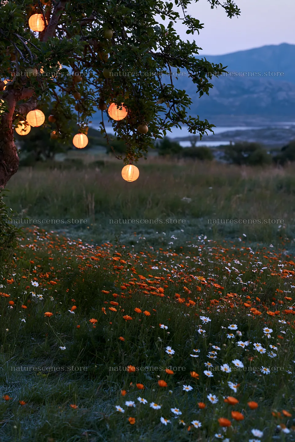 Lanterns hanging on a tree in a meadow with flowers at Lofoten – nature scenes 6480x9722