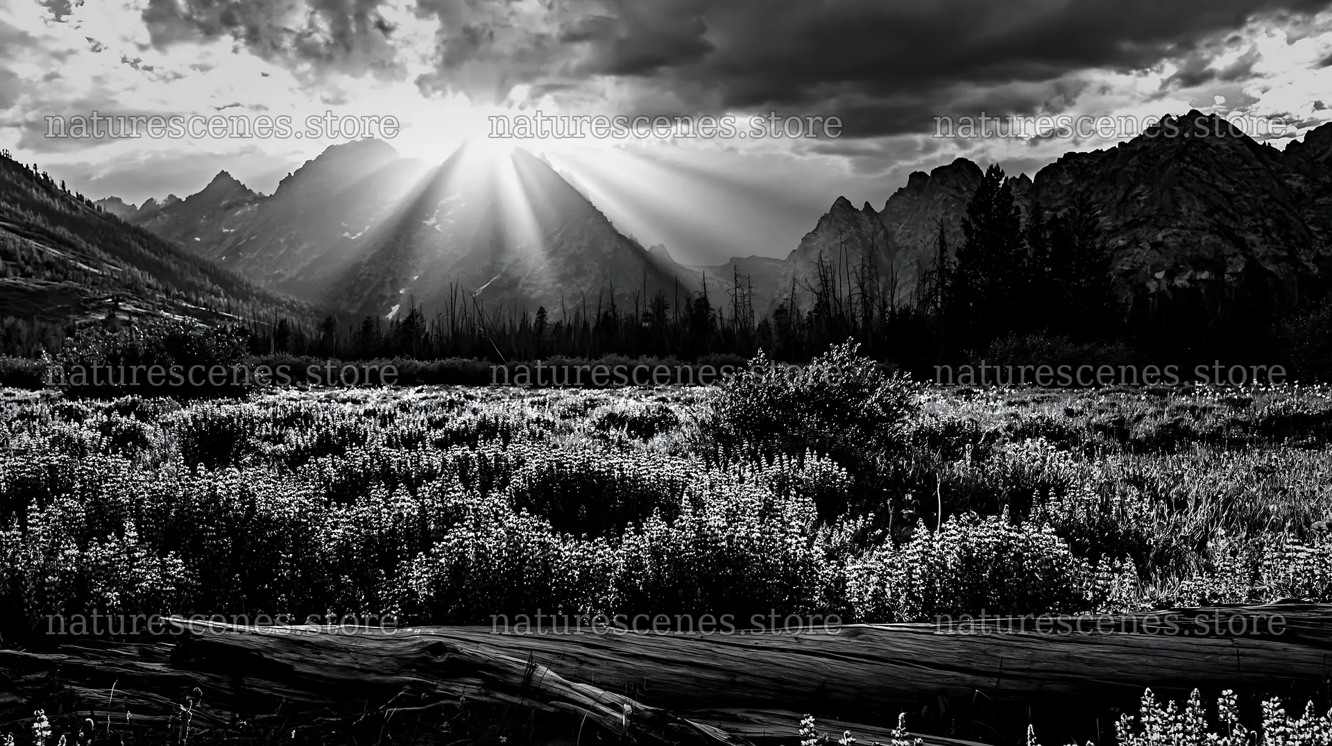 Crepuscular rays shine over a meadow and mountains – nature scenes 10608x5938