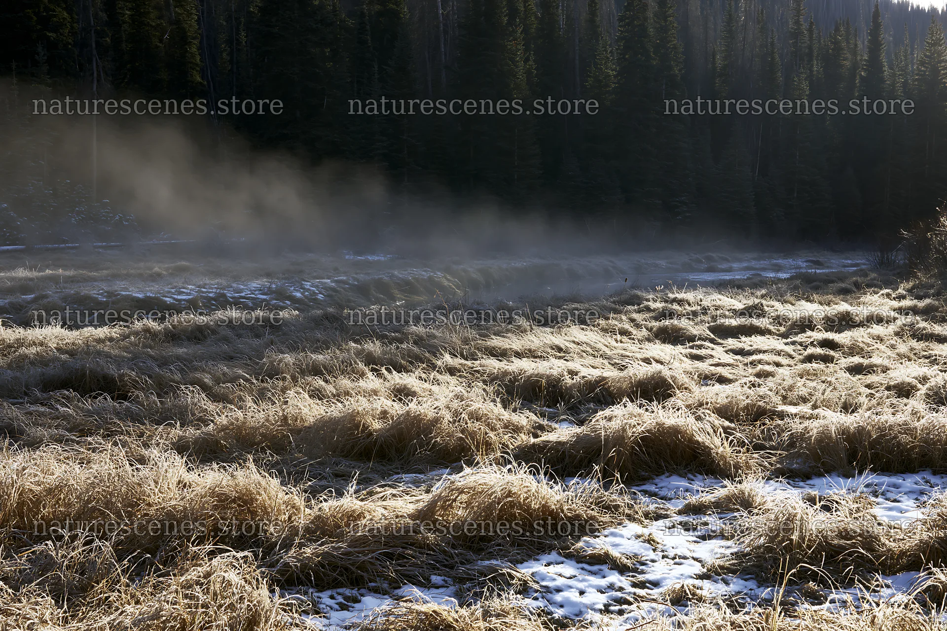 Snowy Rocky Mountain Park meadow with dry grass and mist – nature scenes 9722x6480