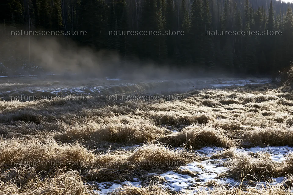 Snowy Rocky Mountain Park meadow with dry grass and mist – nature scenes 9722x6480